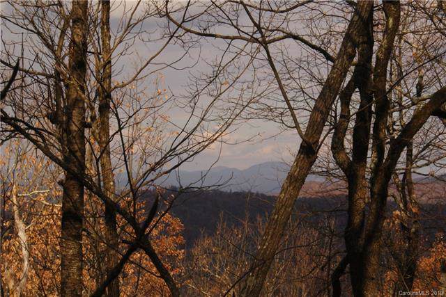 0000 Wild Magnolia Way - Photo 1