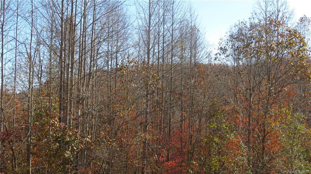 Lot 30 IVB Double Eagle Drive - Photo 1