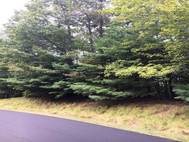 103 Little Cherokee Ridge - Photo 1