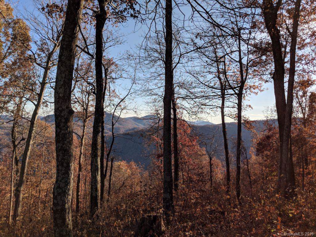 Lot C-41 2997 Creston Drive - Photo 1