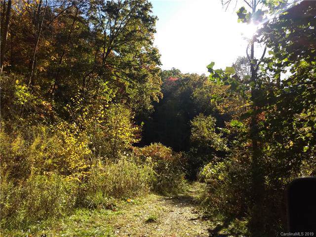 00 Duckett Cove Road - Photo 1