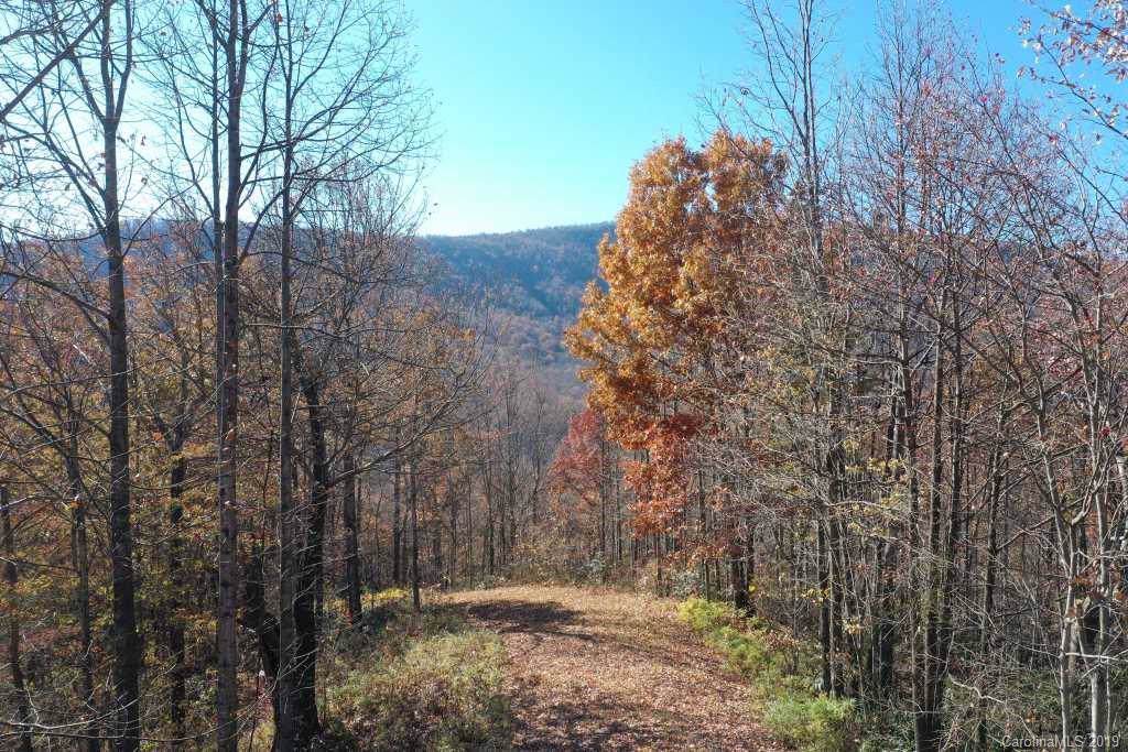 Lot T-74 1110 Kestrel Lane - Photo 1