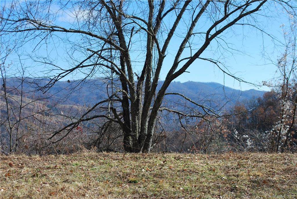Lot B Yonaguska Ridge - Photo 1
