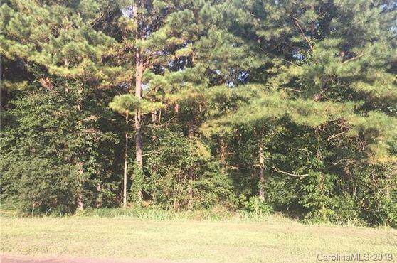 0000 Pine Tree Drive - Photo 1