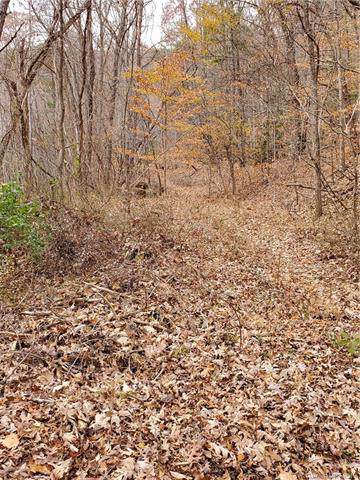 tbd Pine Hill Drive - Photo 1