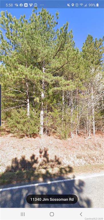 11340 Jim Sossoman Road - Photo 1