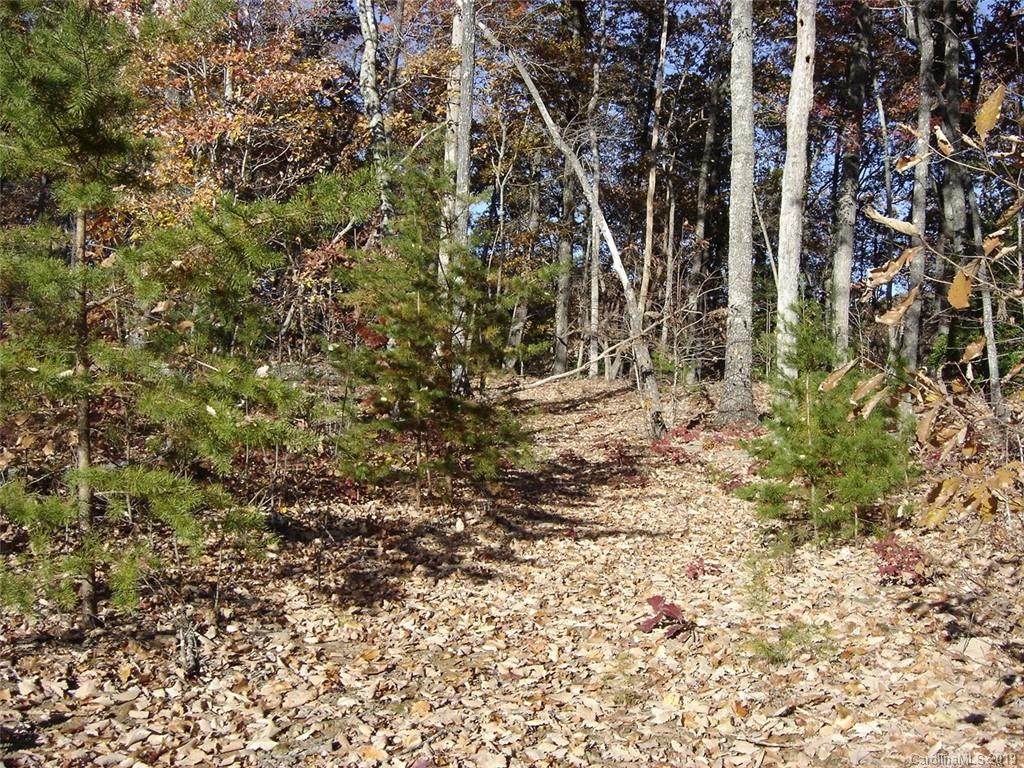 256 Mountain Springs Drive - Photo 1