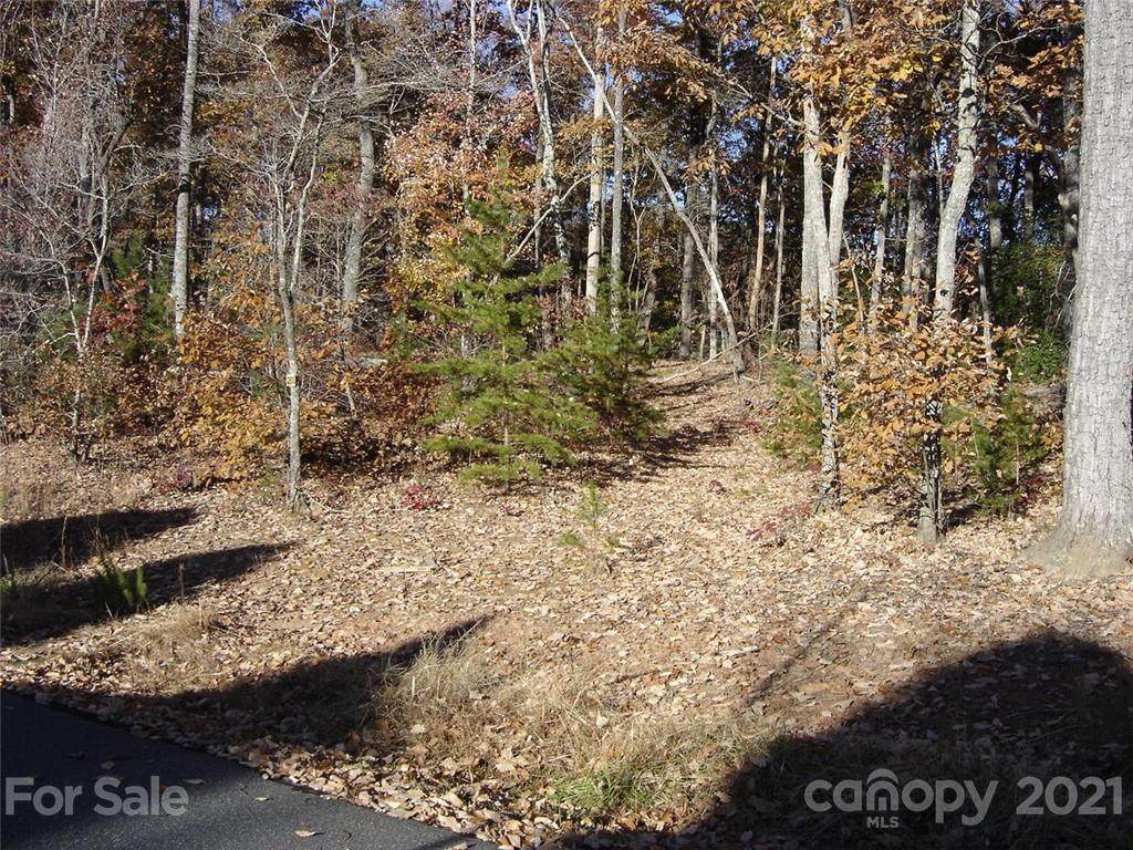 256 Mountain Springs Drive - Photo 1