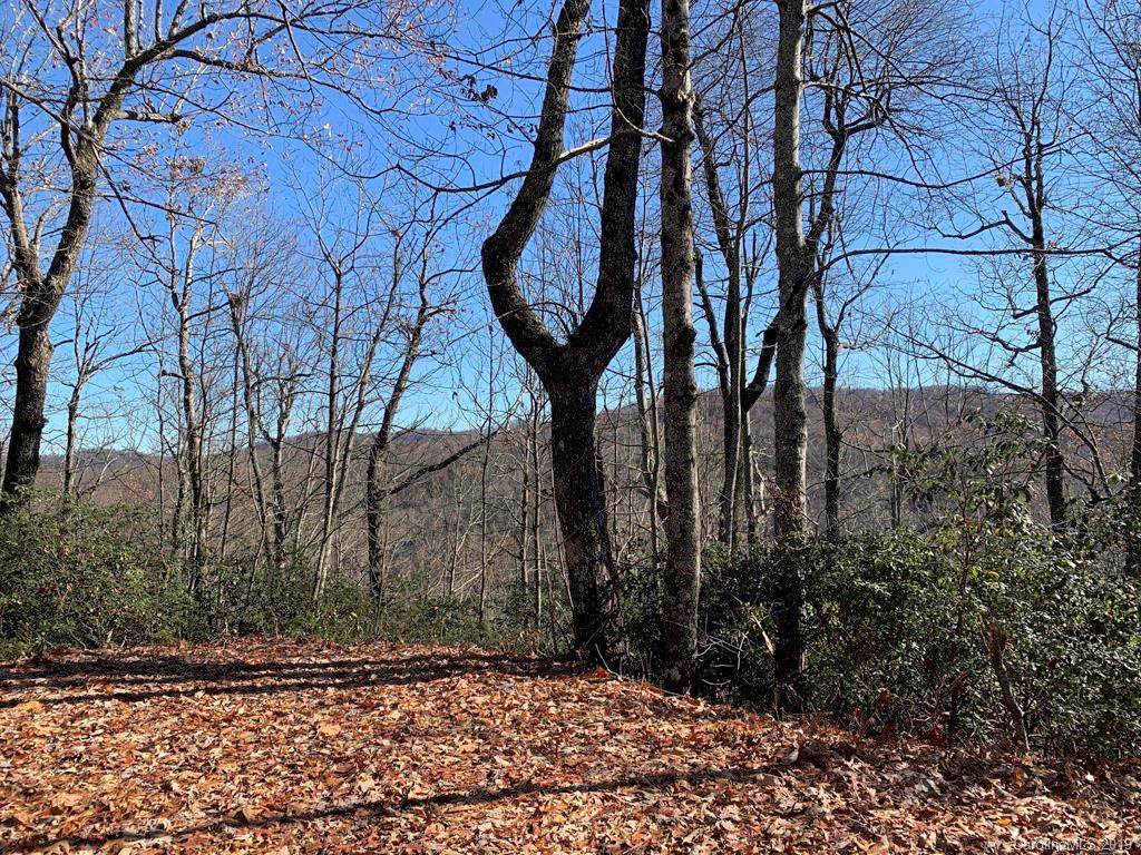 Lot 34 Wood Fern Lane - Photo 1