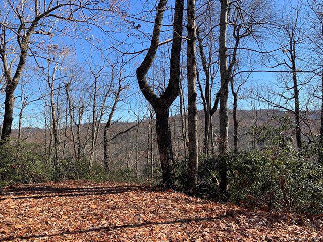 Lot 34 Wood Fern Lane - Photo 1