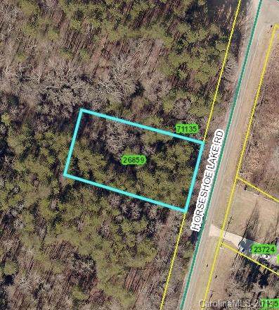 00 Horseshoe Lake Road - Photo 1 00 Horseshoe Lake Road - Photo 1