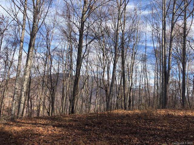 00 Bear Ridge Estates Road - Photo 1