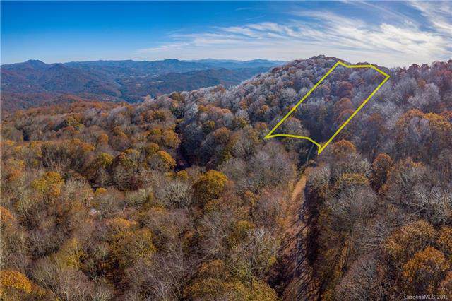 Lot 56 Teaberry Ridge Road - Photo 1