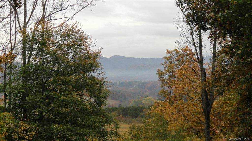 tbd Deep Woods Trail - Photo 1
