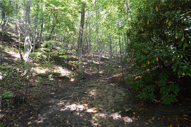 0000 White Rock Road - Photo 1