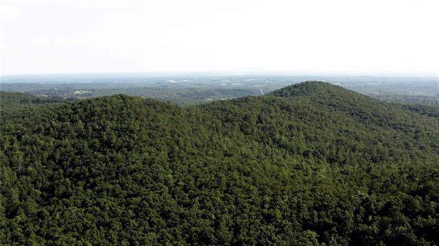 0000 Taylorsville Road - Photo 1