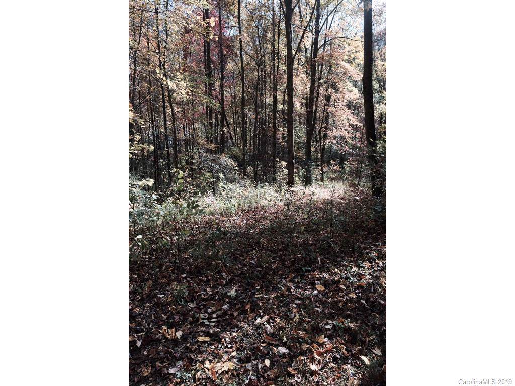 00 Fern Trail - Photo 1