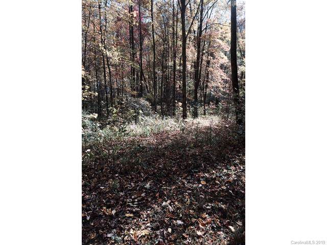 00 Fern Trail - Photo 1