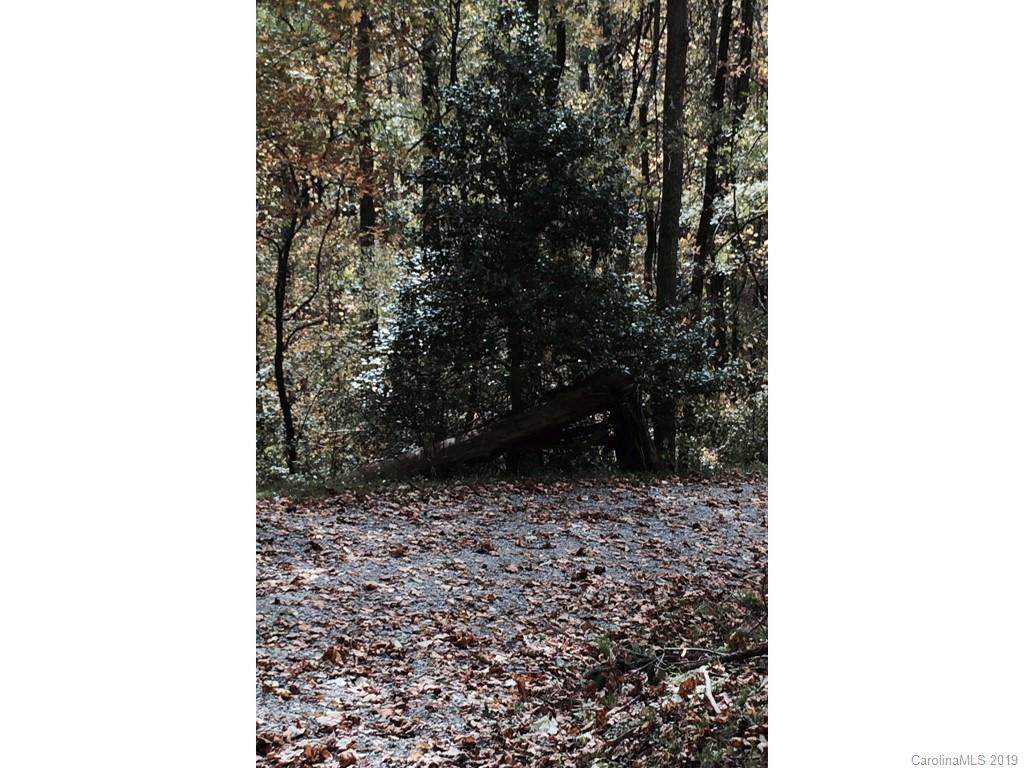 00 Fern Trail - Photo 1