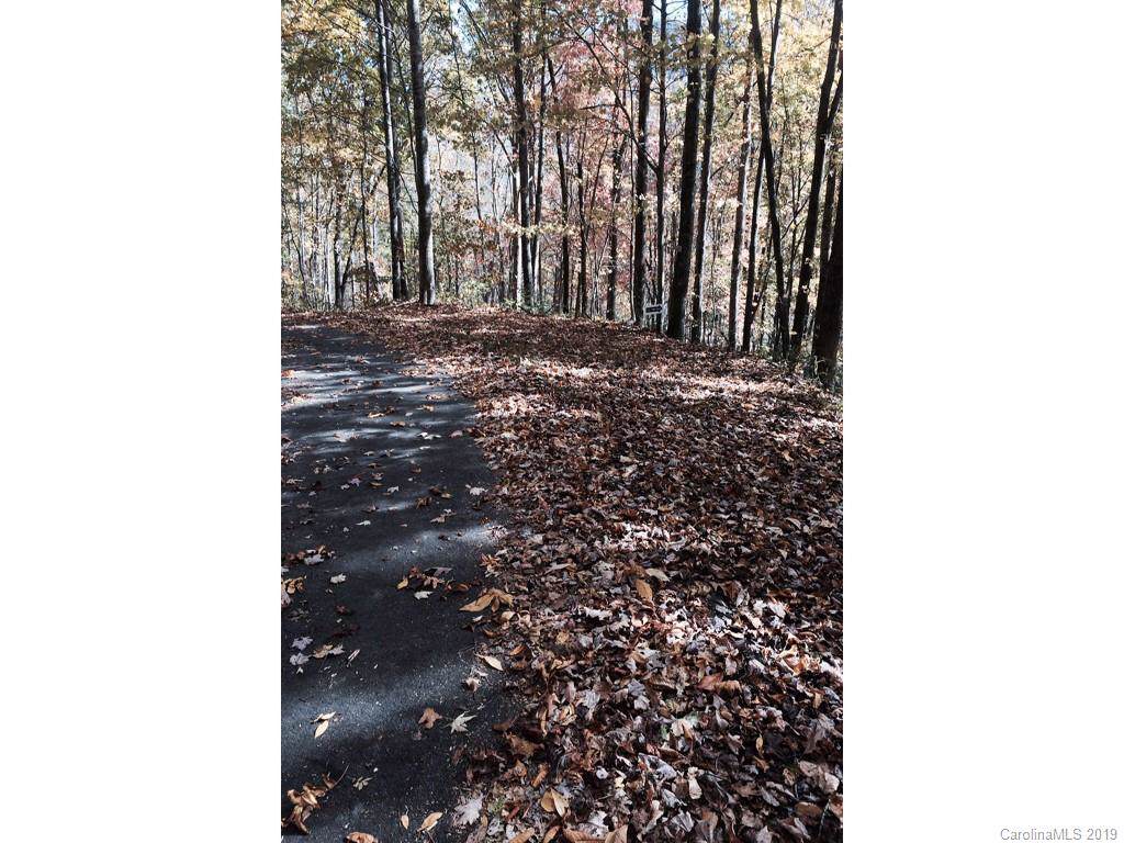 00 Fern Trail - Photo 1