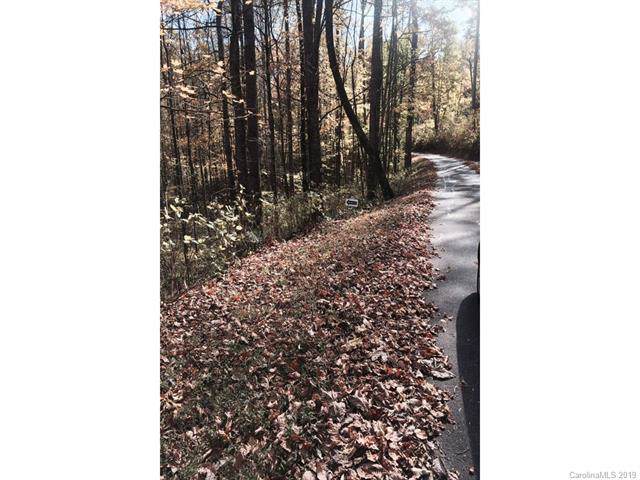 00 Fern Trail - Photo 1