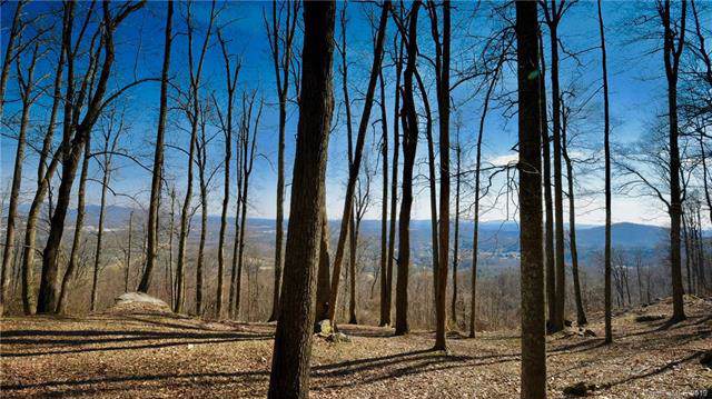 49 Split Rock Trail - Photo 1