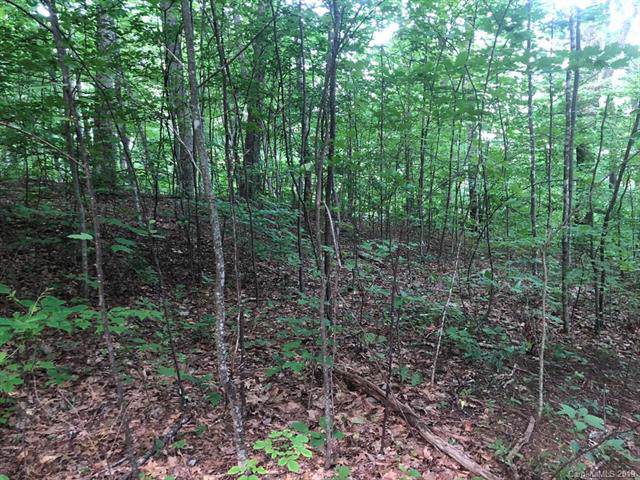 Lot 1 Off Walnut Creek Road - Photo 1