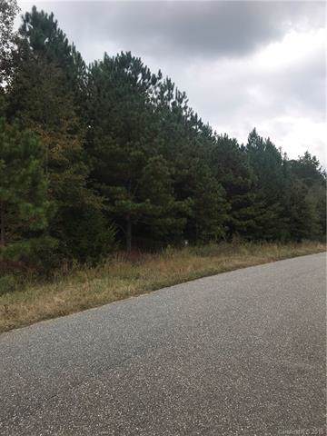 202 Appaloosa Trail - Photo 1