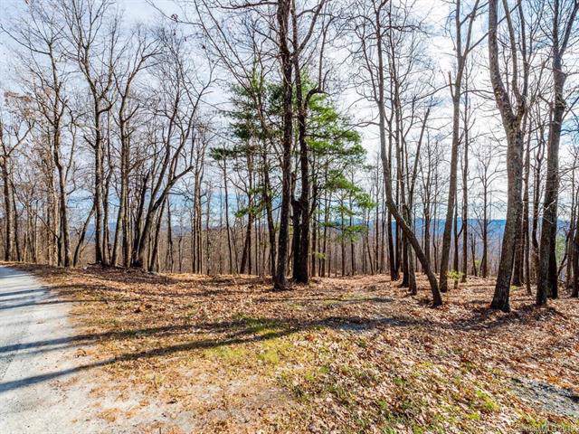 000 Pinnacle Mountain Road - Photo 1