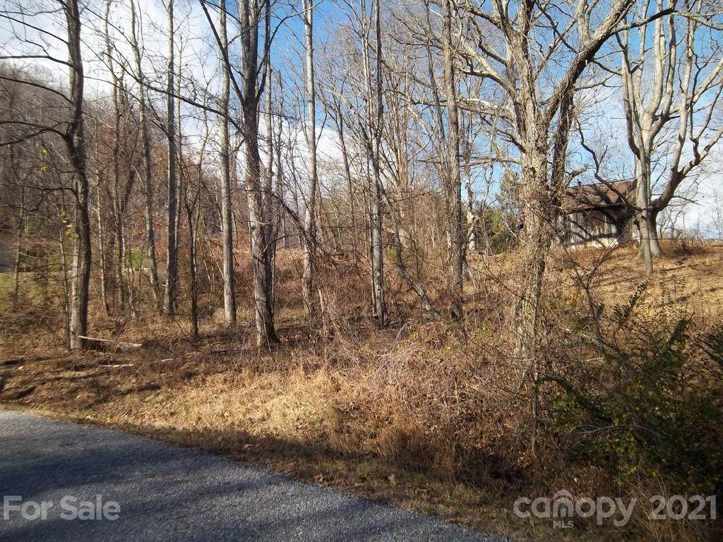 Lot 21 Bob White Loop - Photo 1