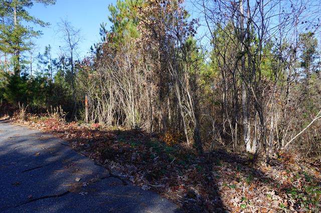 Lot 6 Pine Cone Trail - Photo 1