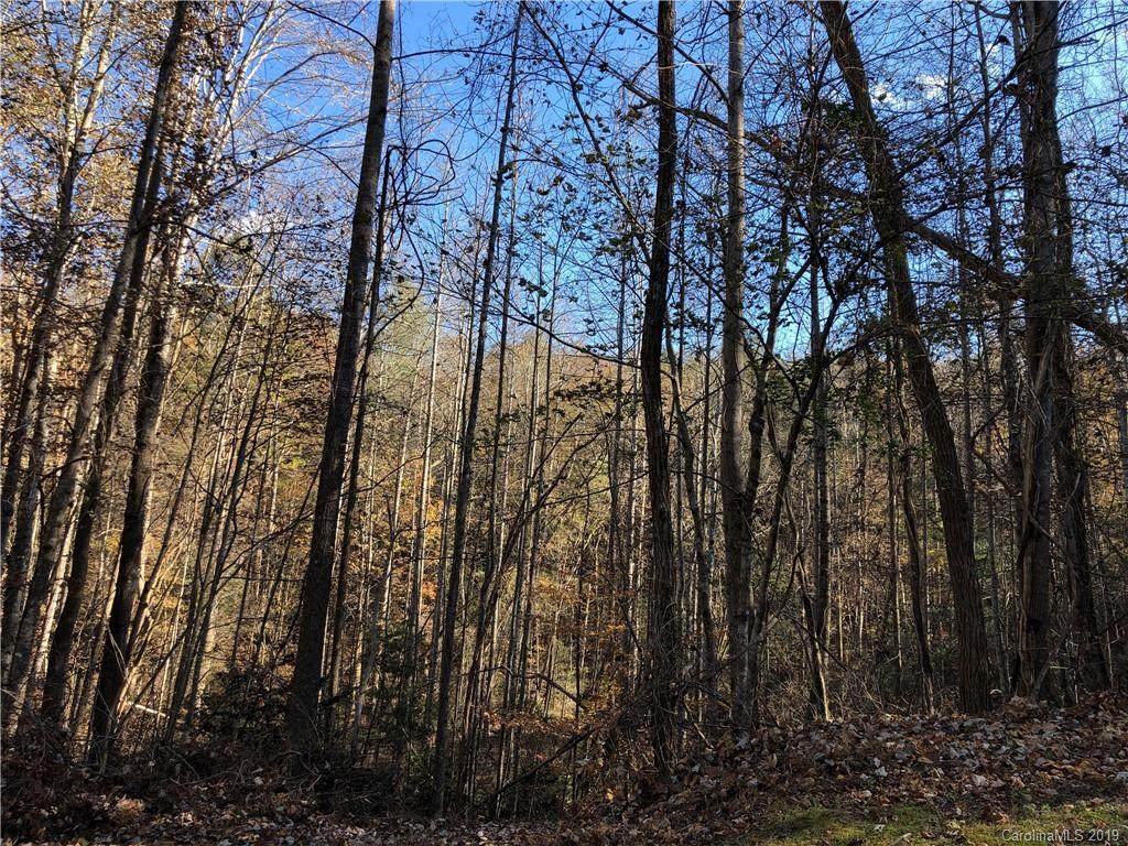 0 Back Hollow Drive - Photo 1