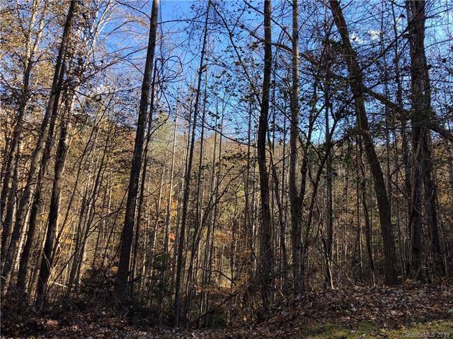 0 Back Hollow Drive - Photo 1