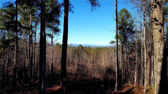 0 Grandview Loop - Photo 1