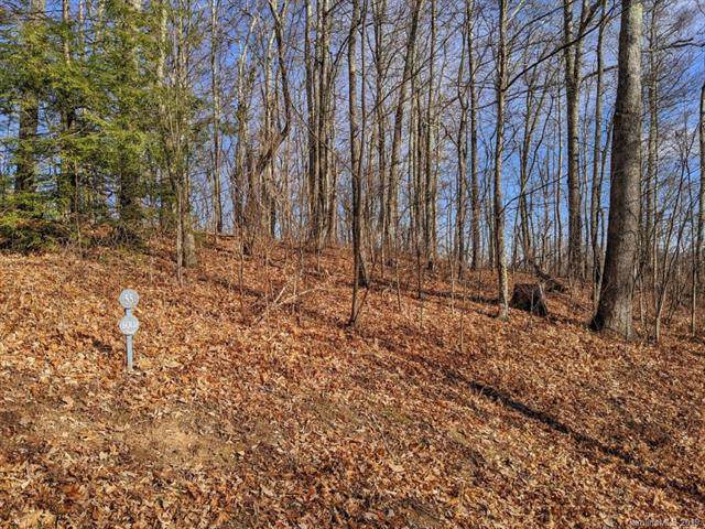 Lot #55 Sleepy Hollow Drive - Photo 1