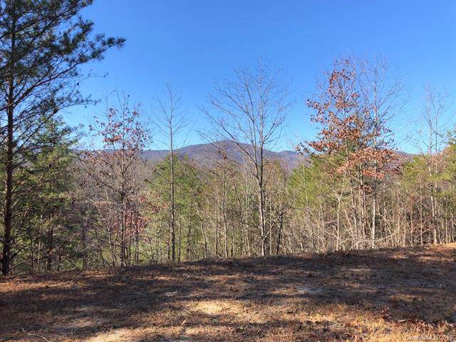 Lot 37 Peaks Drive - Photo 1