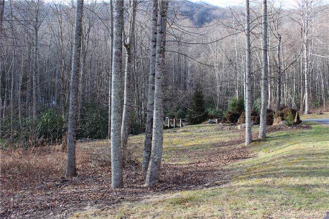Lot #1 Covecrest Drive - Photo 1