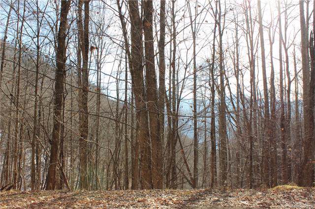 Lot #18 Covecrest Drive - Photo 1