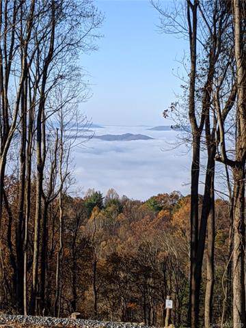 TBD Laurel Ledge Way - Photo 1