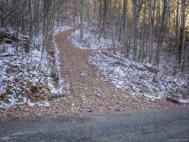 746 Jess Cove Road - Photo 1