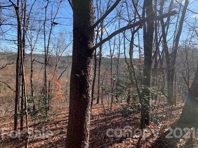 0000 Freemantown Road - Photo 1