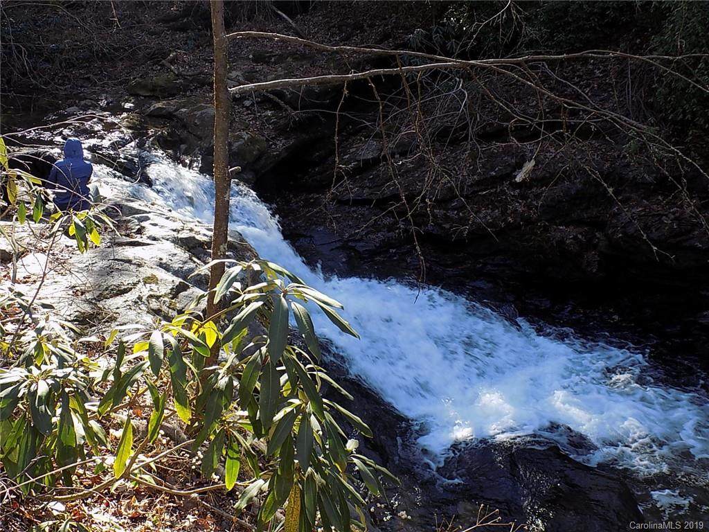 Lot 6 Lake Adger Parkway - Photo 1