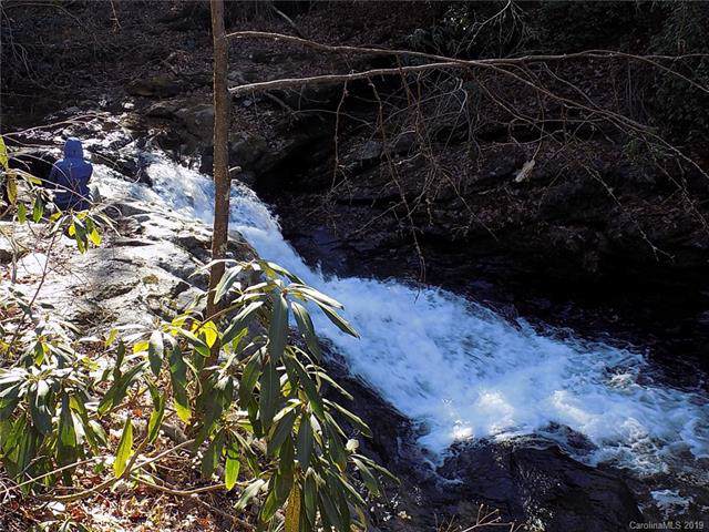 Lot 6 Lake Adger Parkway - Photo 1