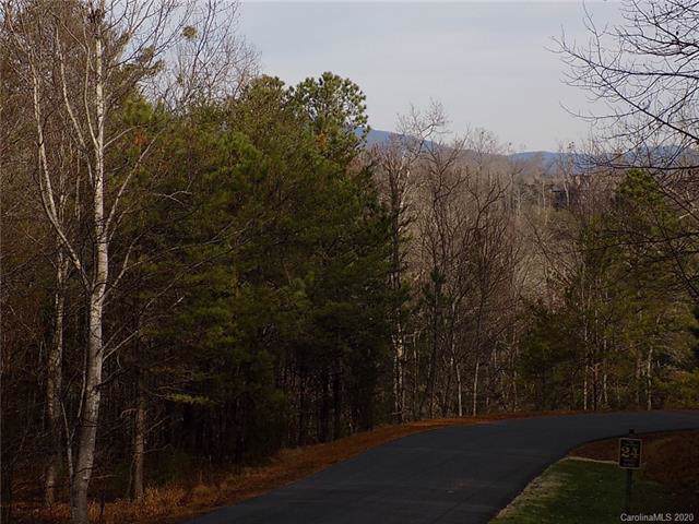 Lot 7 Lake Adger Parkway - Photo 1