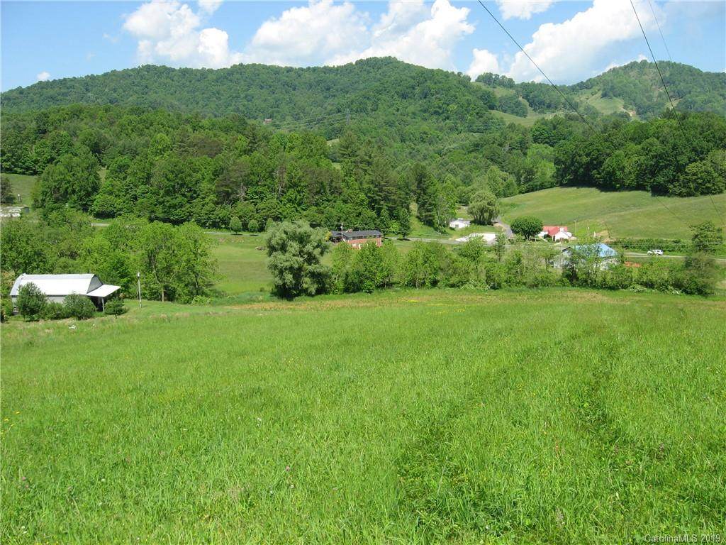 131 Sheriff Anglin Road - Photo 1