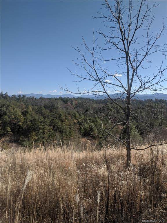 TBD Bull Creek Road - Photo 1
