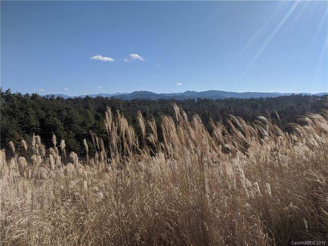 TBD Bull Creek Road - Photo 1