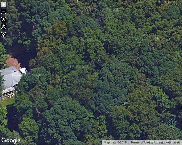 843 New Leicester Highway - Photo 1