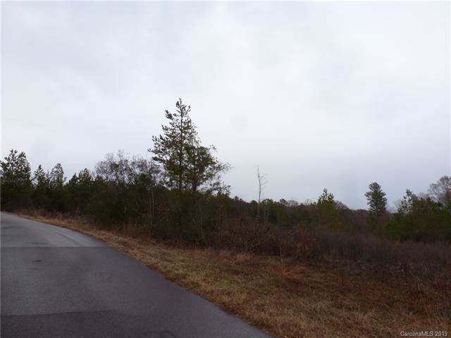 00 Ben Massey Road - Photo 1
