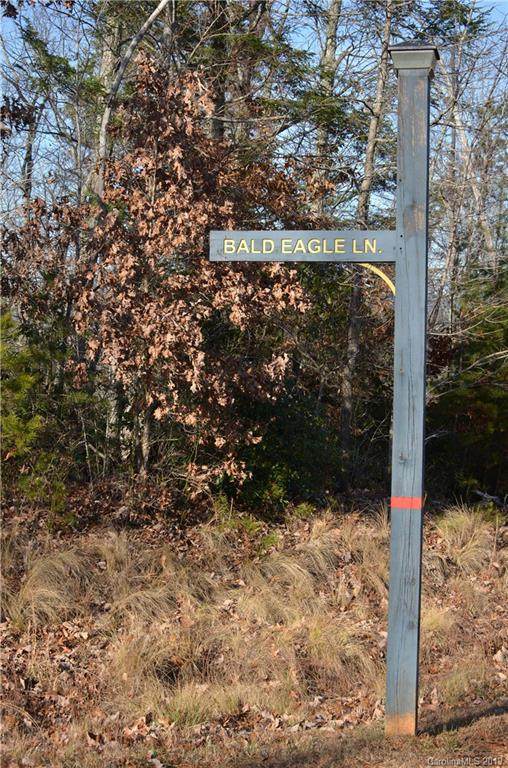 Lot #43 Bald Eagle Lane - Photo 1